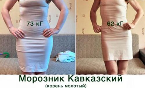 Морозник кавказский инструкция. Морозник - применение, лечебные свойства 07