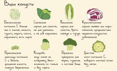 Суп для похудения из капусты. Рецепты диетического супа из капусты и правила его употребления