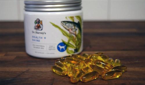 Срок годности рыбьего жира в капсулах. Срок и условия хранения рыбьего жира