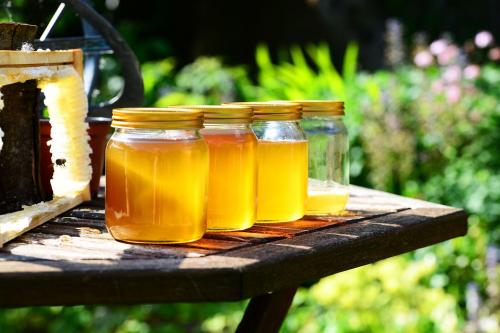 Вода с медом на ночь. Как правильно выбрать мед для приготовления медовой воды