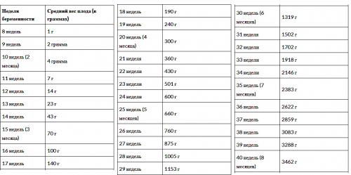 Как набрать вес при беременности. Как измеряется вес плода