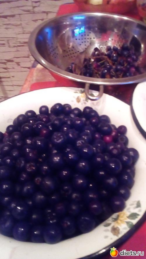 Протертая рябина красная с сахаром. Полезные свойства красной рябины 11