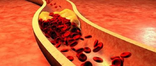 Можно ли морковь во время диеты. Диетические блюда из моркови 11 Можно ли морковь во время диеты. Диетические блюда из моркови 11