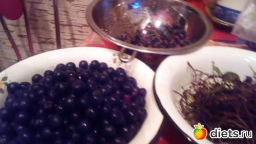 Протертая рябина красная с сахаром. Полезные свойства красной рябины 10