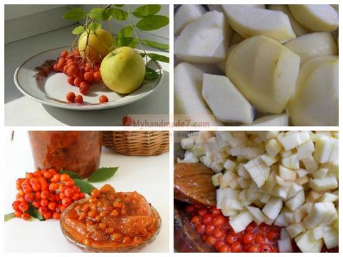 Протертая рябина красная с сахаром. Полезные свойства красной рябины 04