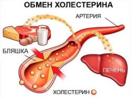 Липидная диета это. Основные принципы и правила гиполипидемической диеты