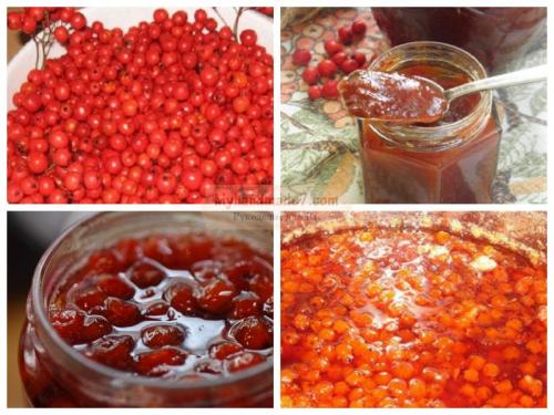 Džem z červeného jeřábu – recepty a výhody produktu
