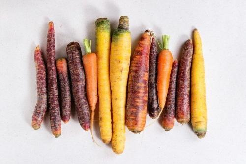 Можно ли морковь во время диеты. Диетические блюда из моркови 10 Можно ли морковь во время диеты. Диетические блюда из моркови 10