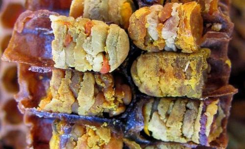 Химический перга состав. Особенности состава пчелиной перги 01