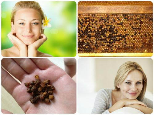 Перга, как принимать. Какие женские болезни лечит перга?