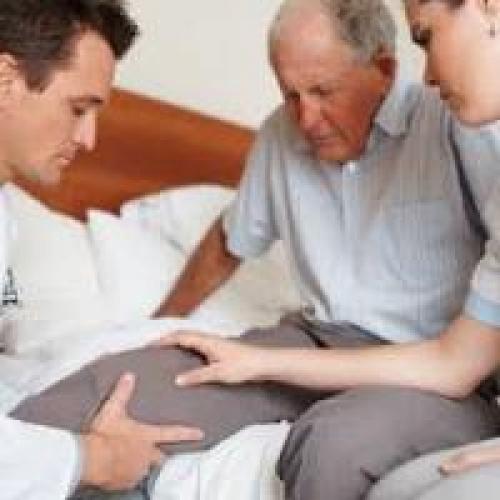 Перга польза. Польза «пчелиного хлеба»