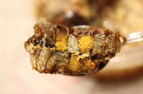 Химический перга состав. Особенности состава пчелиной перги 03