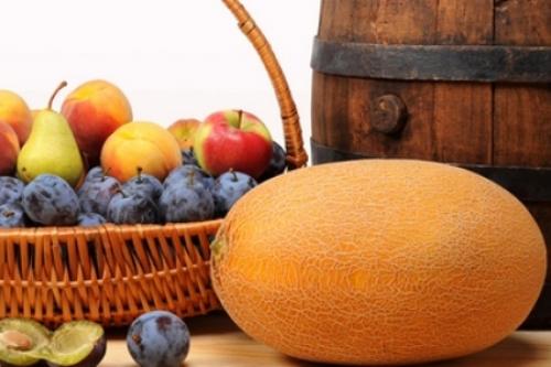 Дынная диета для похудения меню на 3 дня. Диета на дынях: меню, рецепты для похудения