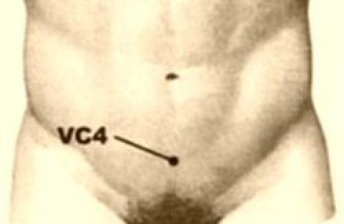 Точка ци. Семь волшебных точек долголетия