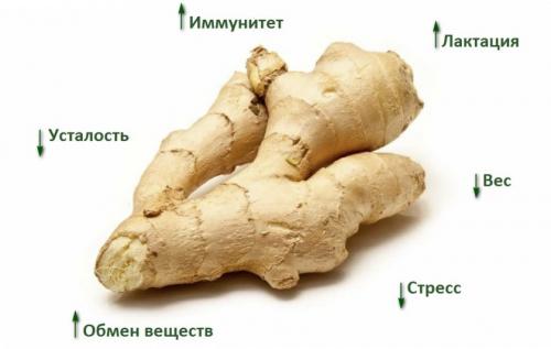 Рецепт для похудения 2 лимона имбирь минеральная вода. Лимон, имбирь и минералка