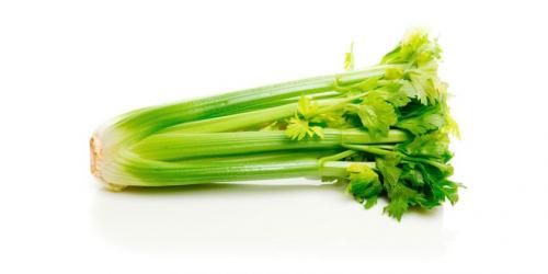 Самая эффективная диета на сельдерее. Чем полезен сельдерей