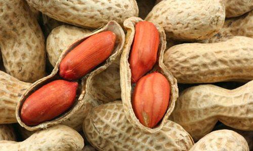 Арахис и холестерин. Можно ли есть арахис при высоком уровне холестерина?