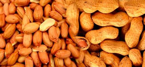 Арахис чем полезен. Польза арахиса для организма, калорийность