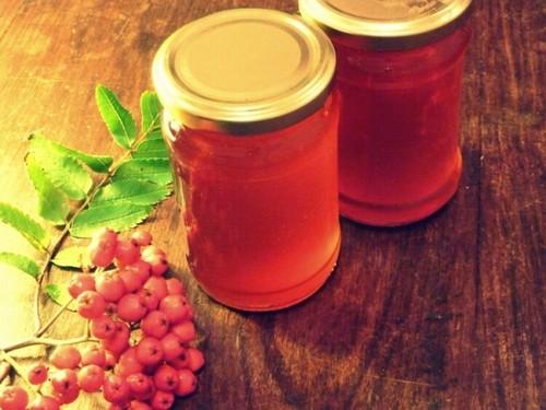 Рябина при климаксе. Применение коры рябины во время климакса