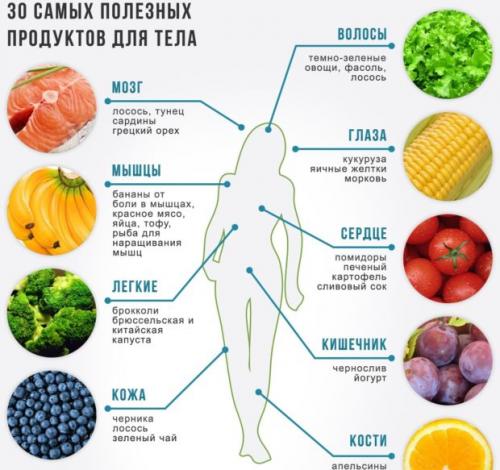 Питание для практикующих йогу. Виды пищи