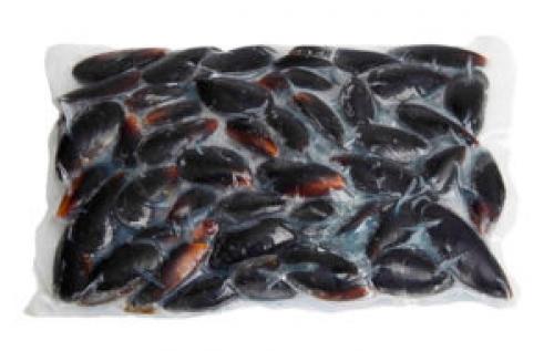 Осьминог чем полезен. Полезные свойства 05