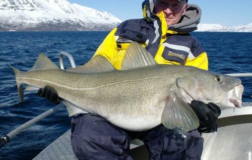 Тряска рыба. Виды