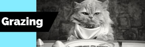 Дробное питание меню на неделю таблица. Дробное питание для похудения (3 варианта)