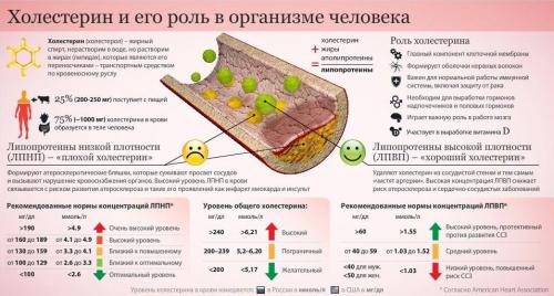 Гиперхолестеринемия диета и лечение. Гиперхолестеринемия — причины, лечение, диета