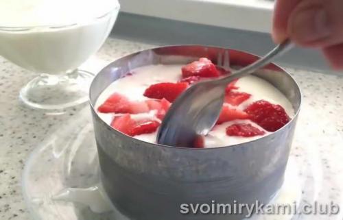 Рецепт с желатином и творогом. Нежный творожный десерт с желатином без выпечки