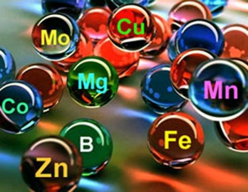 Сводит ногу в бедре причины, что. Сводит мышцы ног в ляшках –, что делать при судорогах бедра