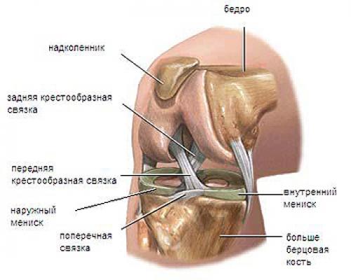 Разрыв мениска 3 степени. Выделяют 4 степени состояния мениска: 19 Разрыв мениска 3 степени. Выделяют 4 степени состояния мениска: 19