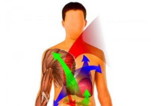 Неумывакин боль в суставах. Лечение суставов по Неумывакину