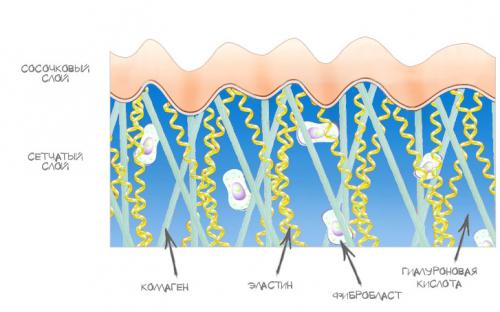 Гиалуроновая кислота для лица. Польза гиалуроновой кислоты