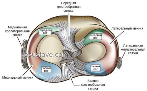 Повреждение мениска заднего рога медиального мениска коленного сустава 3 a степени по stoller по. Виды повреждений мениска коленного сустава: их обзор, степени, симптомы и лечение