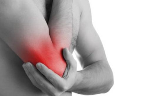 Цилиндрический сустав где находится. Анатомические особенности 01 Цилиндрический сустав где находится. Анатомические особенности 01