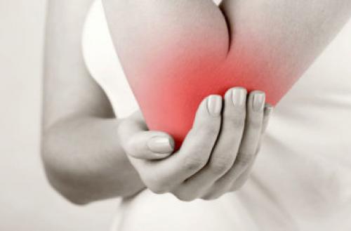 Цилиндрический сустав где находится. Анатомические особенности 03 Цилиндрический сустав где находится. Анатомические особенности 03