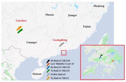 Откуда появился коронавирус. Подпишитесь на «Газету.Ru» 04