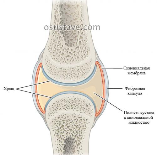 Разрыв заднего рога внутреннего мениска 3 степени лечение без операции. Виды повреждений мениска коленного сустава: их обзор, степени, симптомы и лечение