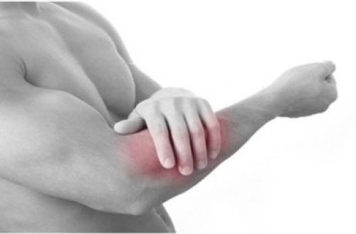 Цилиндрический сустав где находится. Анатомические особенности 05 Цилиндрический сустав где находится. Анатомические особенности 05