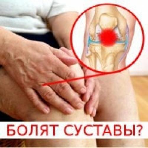 Цилиндрический сустав где находится. Анатомические особенности 12 Цилиндрический сустав где находится. Анатомические особенности 12