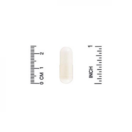 Таблетки для наращивания хрящевой ткани при переломах. Добавка №2: роль хондропротекторов в лечении переломов