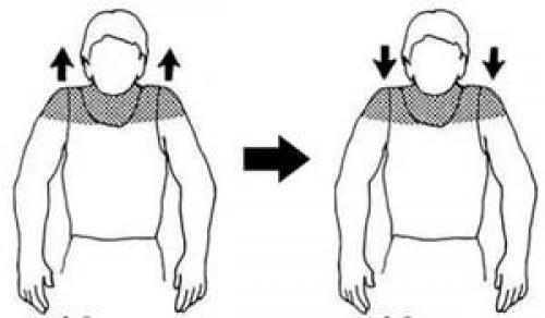 Лечебная гимнастика при шейном и грудном остеохондрозе. Гимнастика при остеохондрозе шейного отдела позвоночника