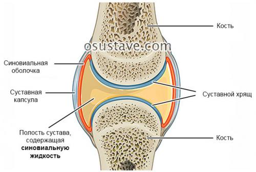 Уколы в колени гиалуроновой кислоты названия в колени. Какого эффекта можно ожидать от гиалуроновой кислоты