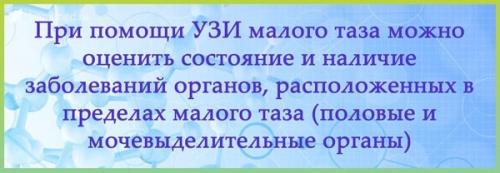 УЗИ тазобедренного сустава методика. УЗИ тазобедренных суставов у младенцев 08