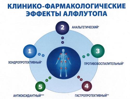 Хондропротекторы белорусского производства. Какие препараты относятся к хондропротекторам?