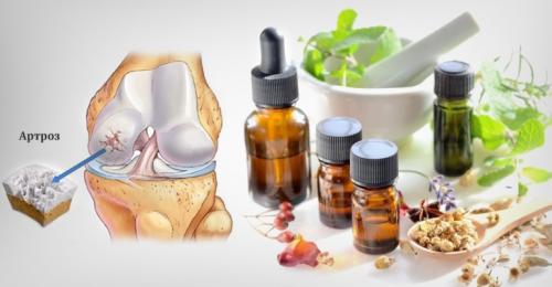 Противовоспалительные народные средства для суставов. Лучшие народные рецепты для лечения артроза суставов