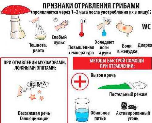 Слабость и боль в животе. Отравление