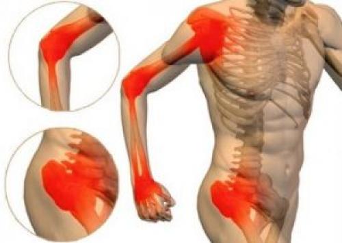 Шунгит крем-бальзам для суставов инструкция. Крем Шунгит для суставов