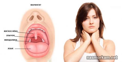 Слабость и боль в коленях. По какой причине появляется слабость в коленях? 06 Слабость и боль в коленях. По какой причине появляется слабость в коленях? 06