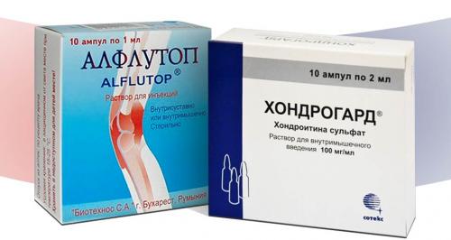 Препарат для восстановления хрящевой ткани в суставах. Особенности восстановления 01